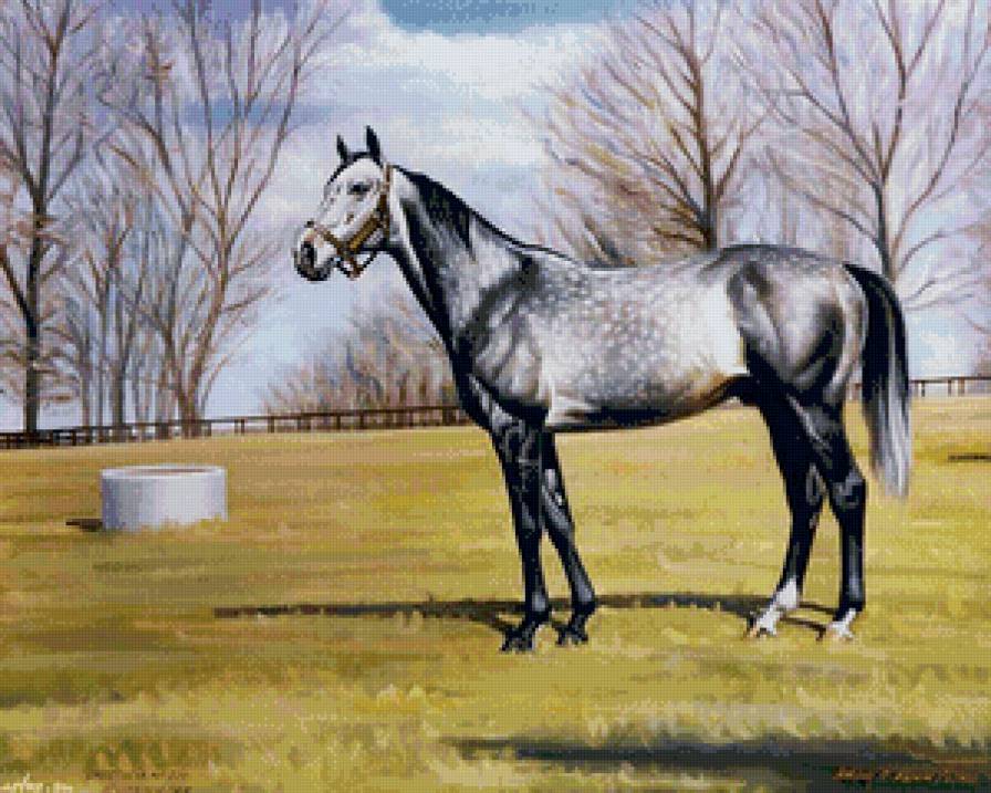 лошадь в яблоках - конь, арт, фентези, яблоки, рысак, лошадь, природа - предпросмотр