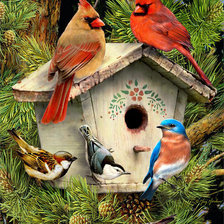 Схема вышивки «птицы»