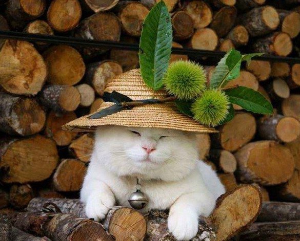 №907677 - оригинал