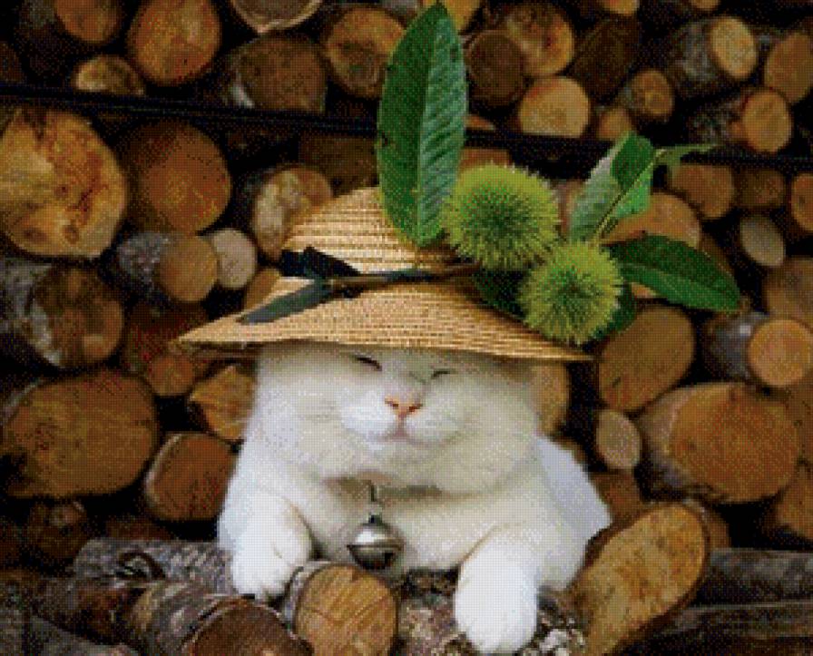 №907677 - предпросмотр