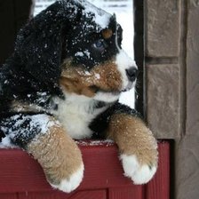 Оригинал схемы вышивки «№907698»