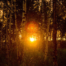 Схема вышивки «В лучах заката»