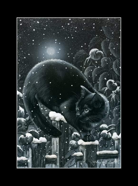 котик - луна, животные, кот - оригинал