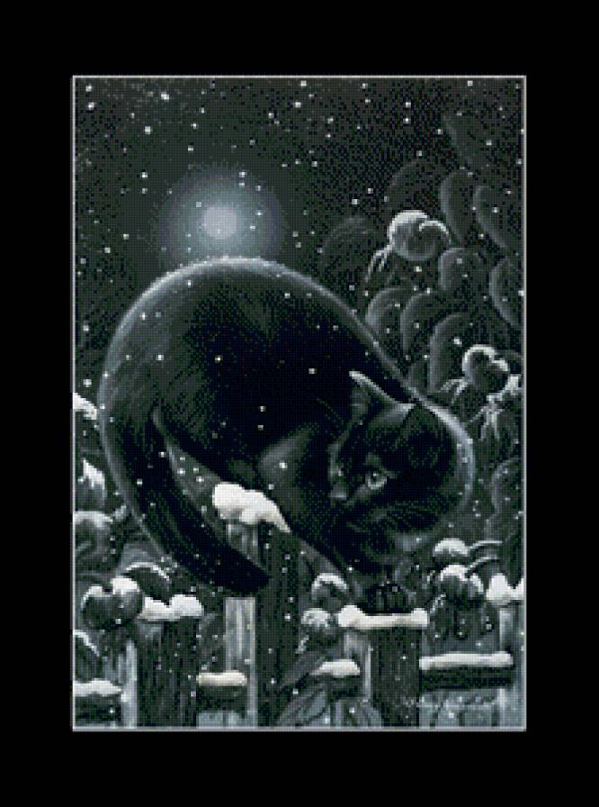 котик - луна, кот, животные - предпросмотр