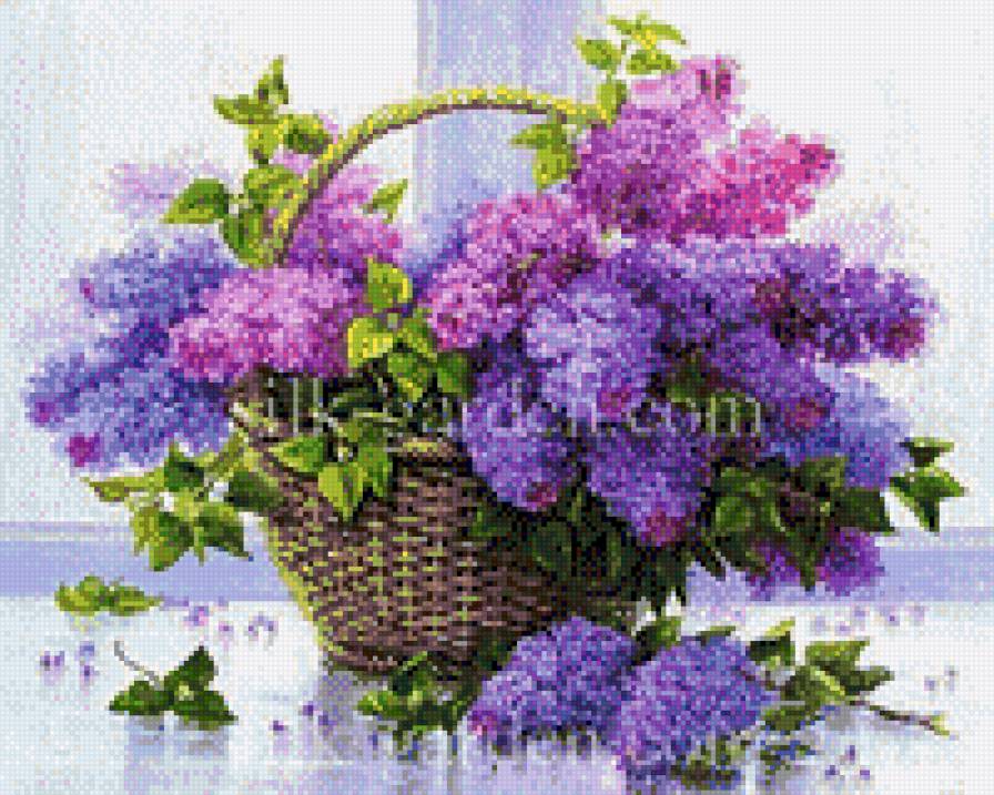 Сиреневый туман - цветы, сирень - предпросмотр