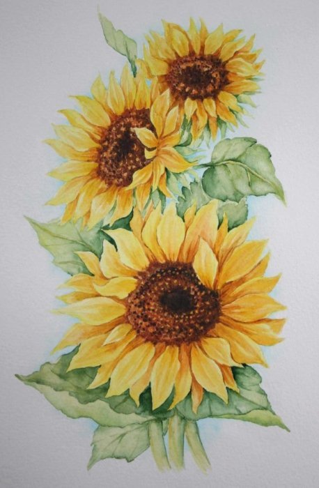 Солнечный цвет - подсолнух, цветы - оригинал