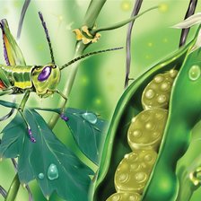 сказочные леденцы