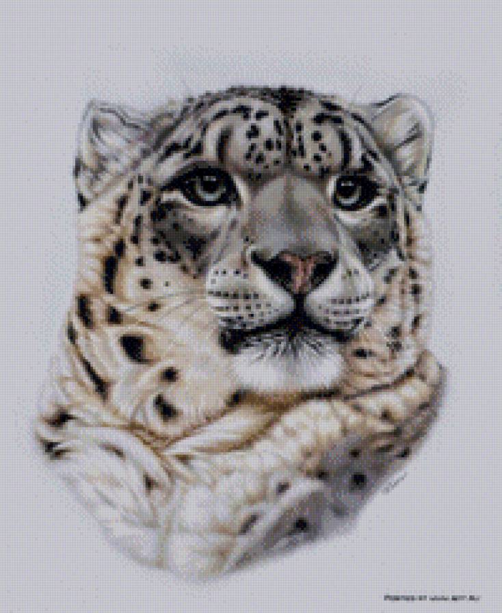 снежный барс - предпросмотр