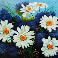 Ромашки и васильки