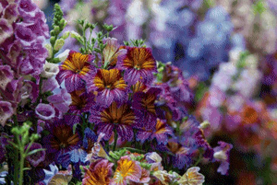 садовые цветы - предпросмотр