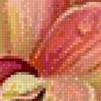 Предпросмотр схемы вышивки «Калибри и Цветок» (№909097)