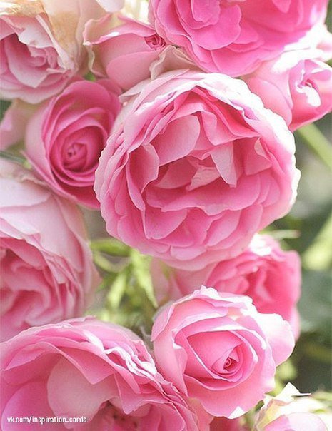 000908 - оригинал