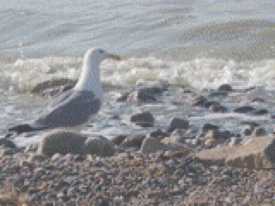 №909263 - предпросмотр