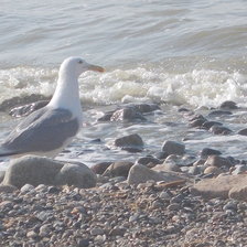 Схема вышивки «№909263»