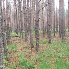 Схема вышивки «№909276»