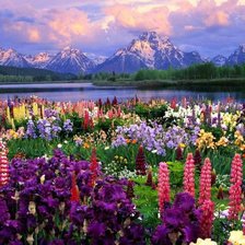 Схема вышивки «Горный пейзаж»