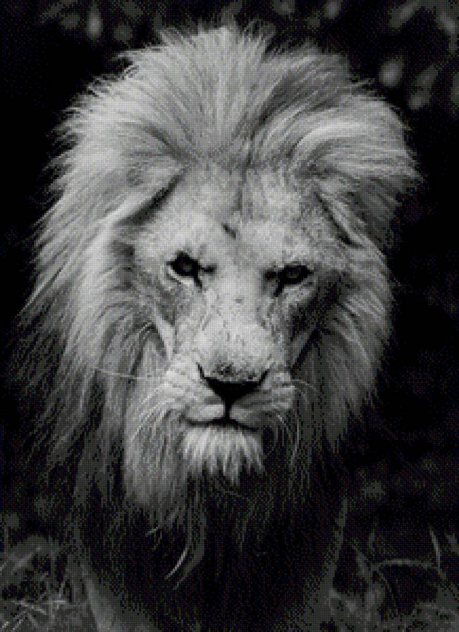 лев - предпросмотр