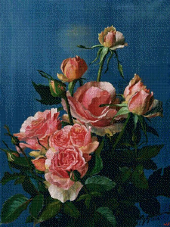 розы - предпросмотр