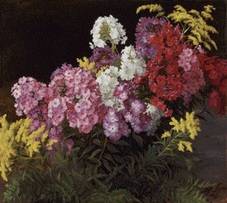 Флоксы - предпросмотр