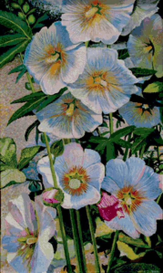 Мальва - лето, мальва, цветы - предпросмотр