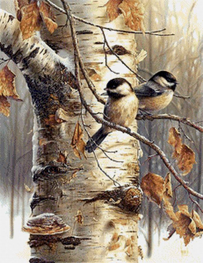 Берёза - береза - предпросмотр