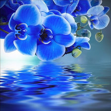 Схема вышивки «орхидея»