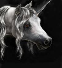 Схема вышивки «пигас»