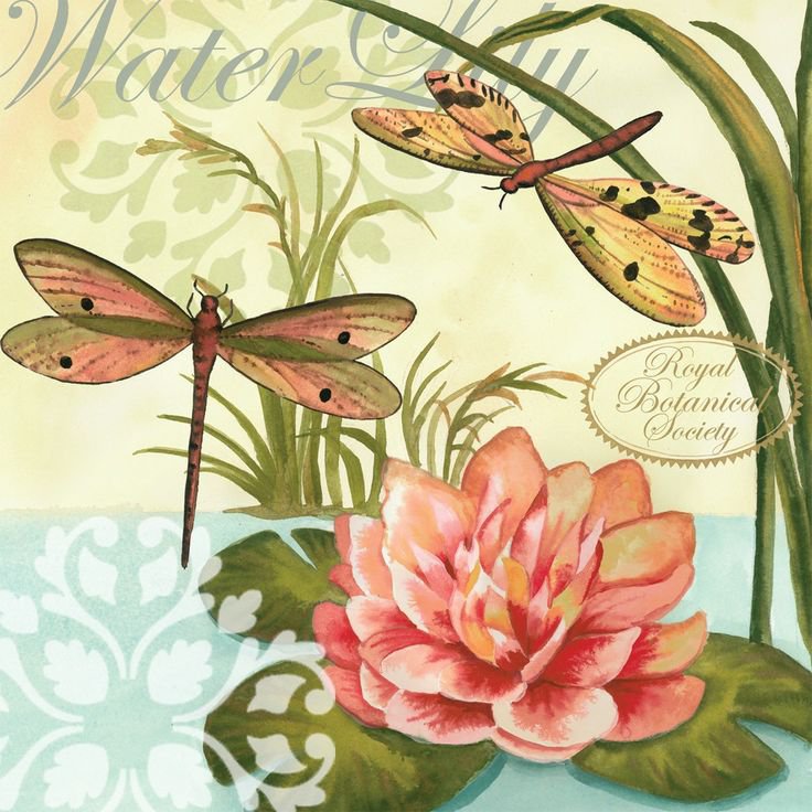 стрекозы - оригинал