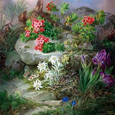 Схема вышивки «№910048»