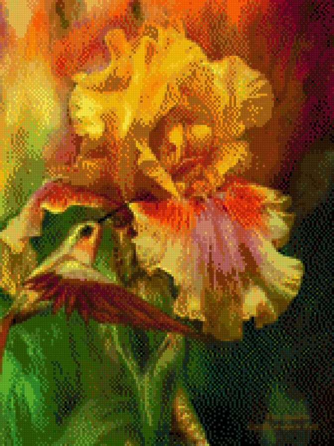 Ирис - птица, цветы - предпросмотр