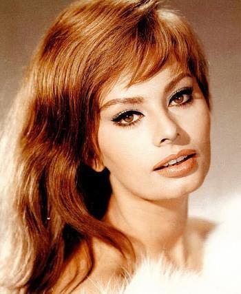 Софи Лорен - знаменитости, люди - оригинал