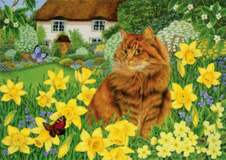 на прогулке - коты, кот - предпросмотр