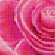 Предпросмотр схемы вышивки «Розы» (№910730)