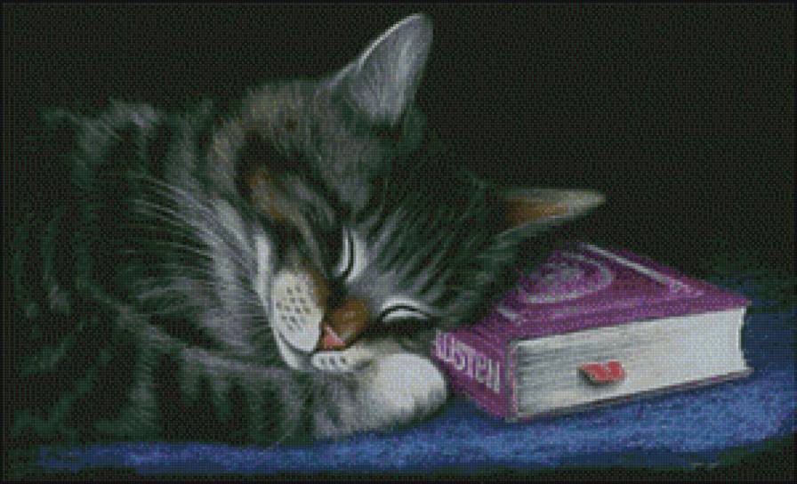 сладкий сон - котенок, кот, кошка, спящий кот - предпросмотр