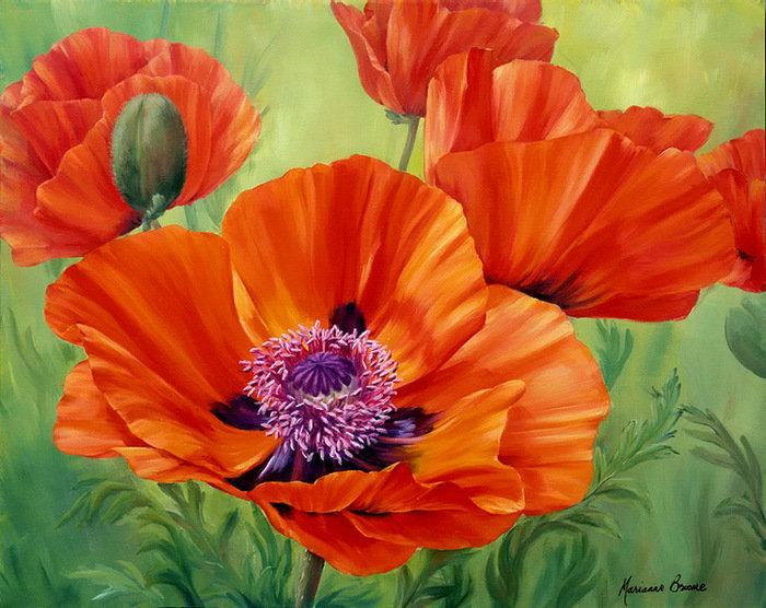 прекрасные маки - оригинал