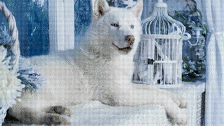 БЕЛЫЙ ВОЛК - предпросмотр