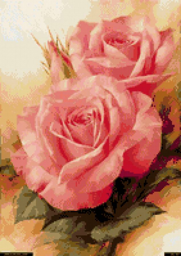 розовые розы - предпросмотр