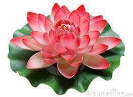 №910847 - flor - оригинал