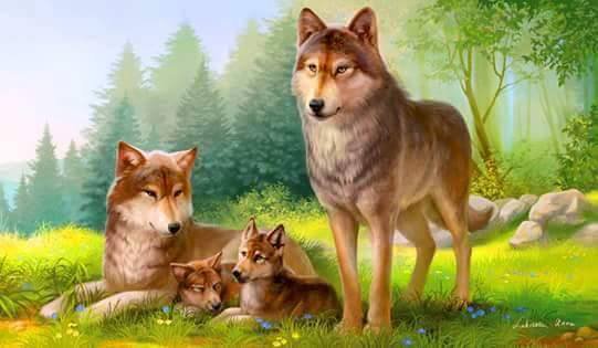 Familia de Lobos - animales - оригинал