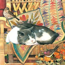 знакомство