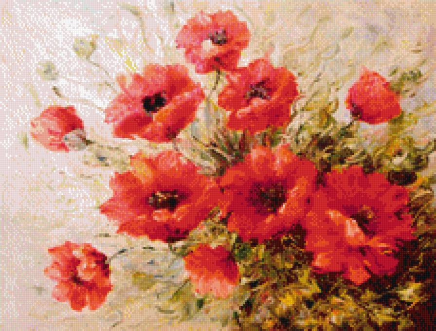 маки - цветы - предпросмотр