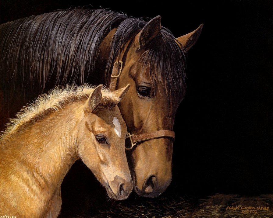 мать и дитя - животное, лошадь, ребенок, жеребенок, мать, материнство - оригинал