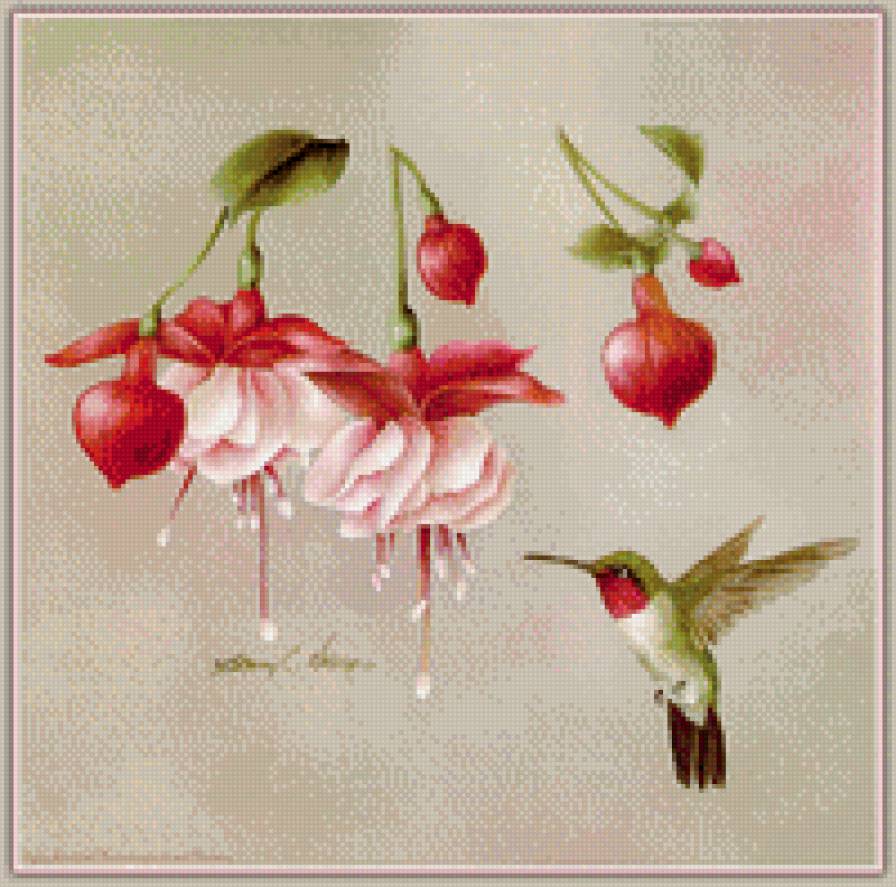 №911441 - предпросмотр