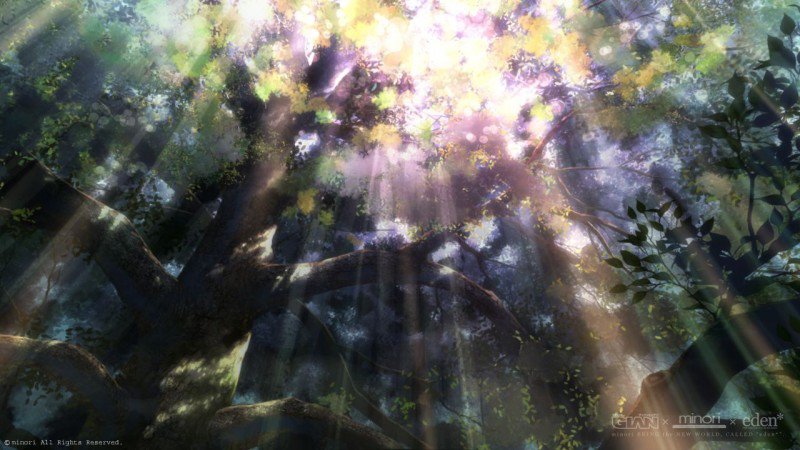 Свет - дерево - оригинал