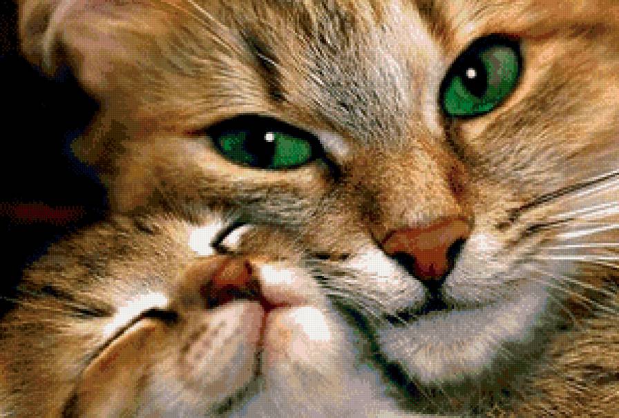 Мама кошка и котенок - коты, живитные - предпросмотр