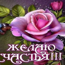 Схема вышивки «желаю счастья»