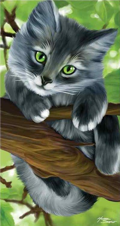 Котенок - живитные, котенок - оригинал