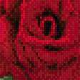 Предпросмотр схемы вышивки «серия "розы"» (№911865)
