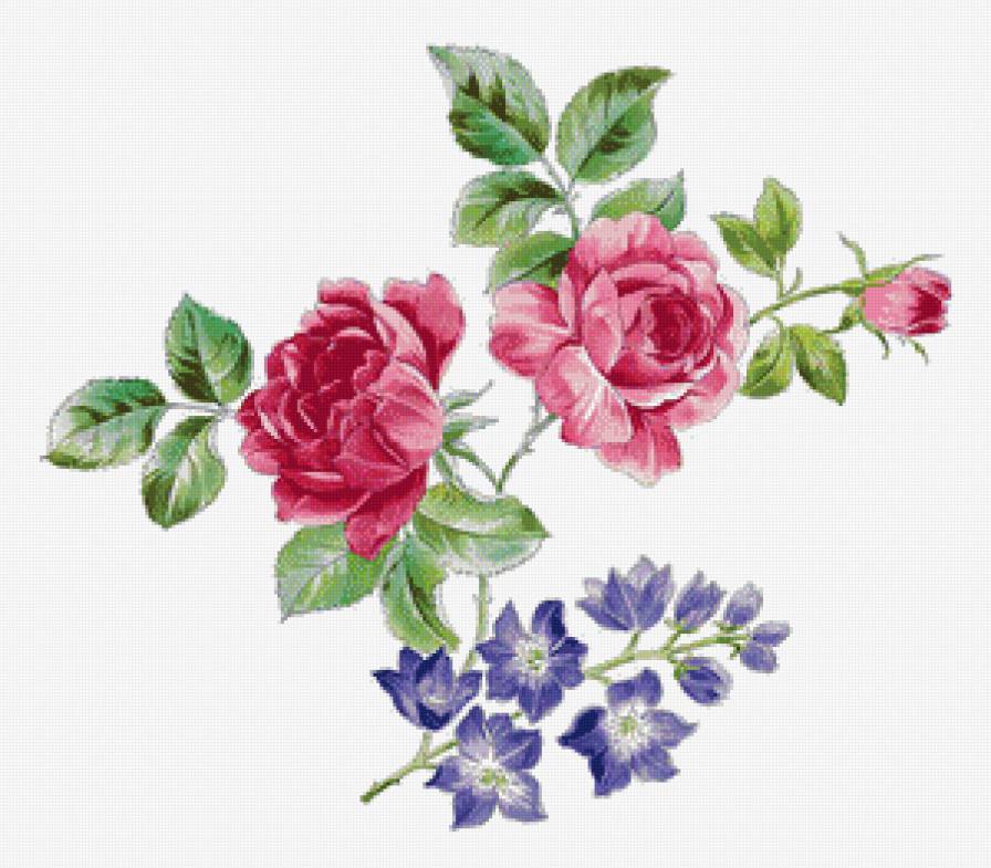 серия "розы" - цветы.розы - предпросмотр