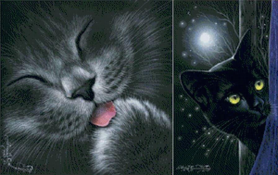 муркотики - коты, кот - предпросмотр